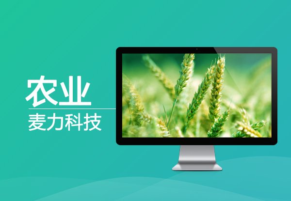 性价比很高的制作平台